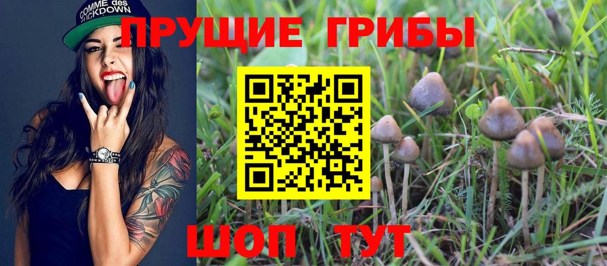 Галлюциногенные грибы Psilocybine cubensis  Галлюциногенные грибы мухоморы  Вход с VPN  Липецк 