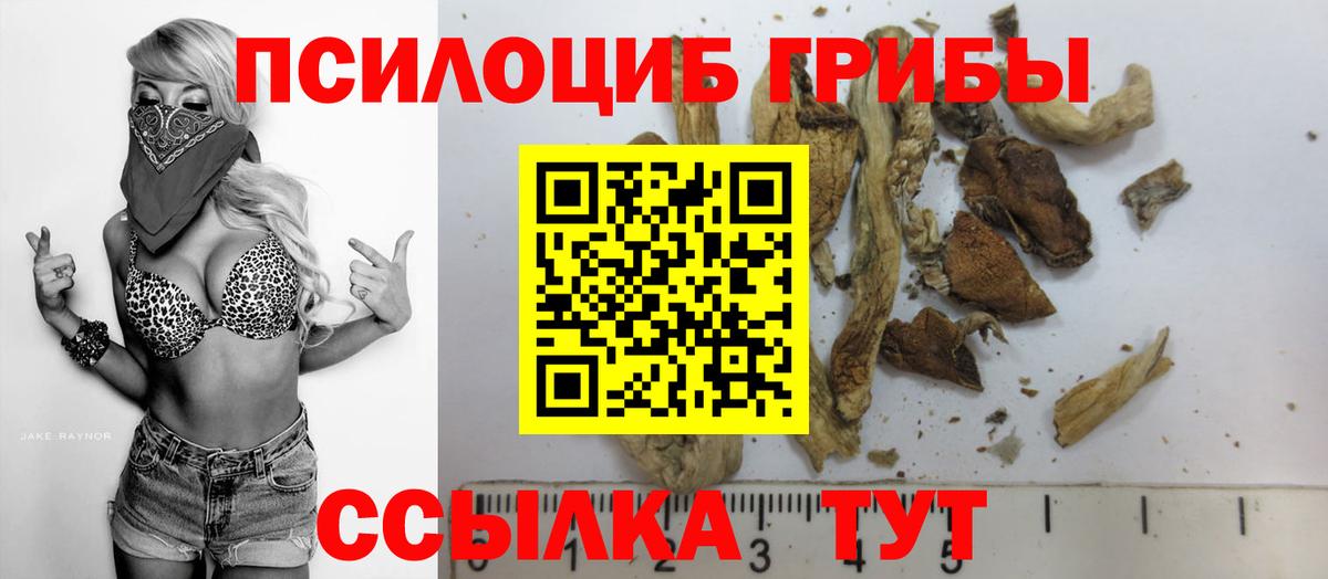 Галлюциногенные грибы Cubensis Липецк